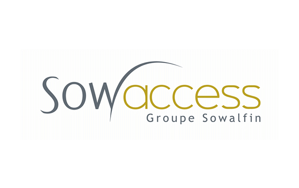 M & A Strategie European Network: Sowaccess