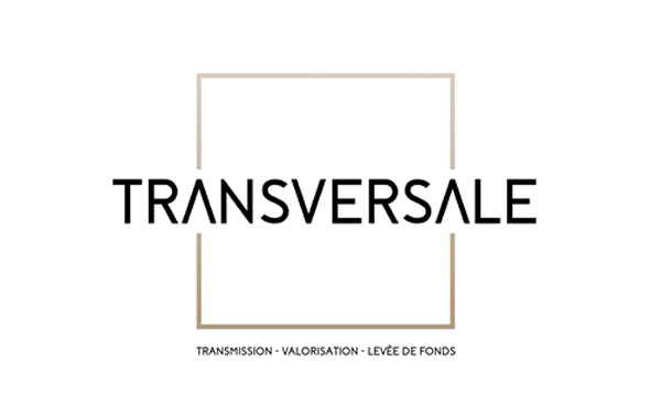 M & A Strategie European Network: Transversale