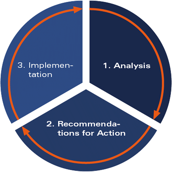 Strategic M & A Consulting: Strategy Check and Implementation